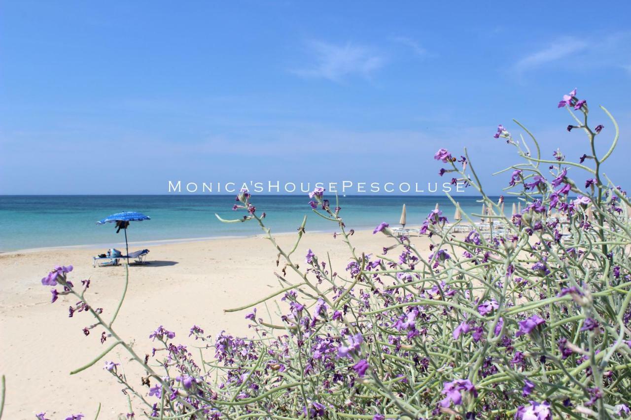 Home Holiday Salento Monica'S House Pescoluse Marina Di Pescoluse Exterior foto